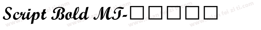 Script Bold MT字体转换